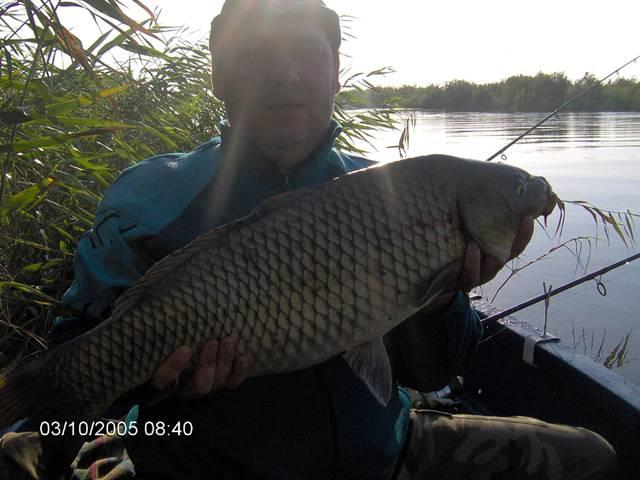 delta rosu 2005 - im000696.jpg